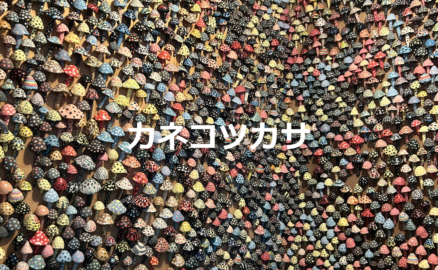 カネコツカサ